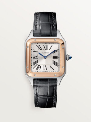 Cartier Santos Dumont Leather Straps White Dial 38 mm
